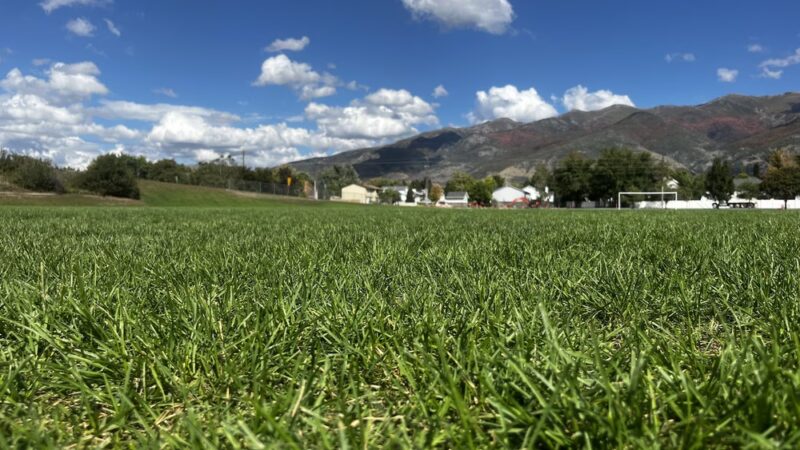 Ponds Park - Kaysville, UT