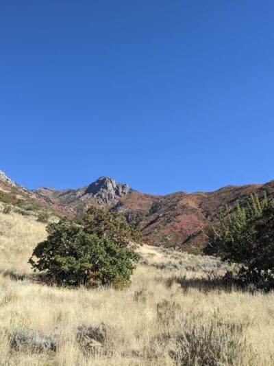 Wilderness Park - Kaysville, UT