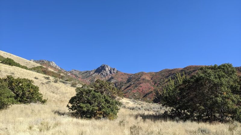 Wilderness Park - Kaysville, UT