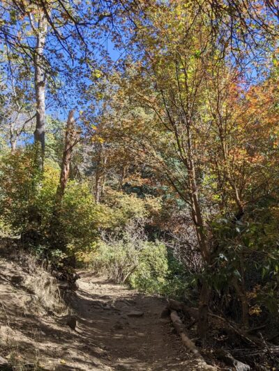Wilderness Park - Kaysville, UT