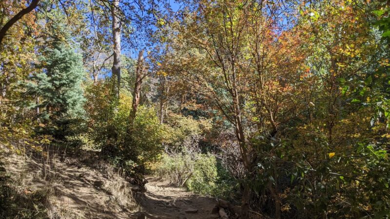 Wilderness Park - Kaysville, UT