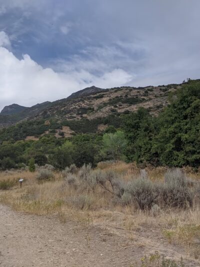 Wilderness Park Trail - Kaysville, UT