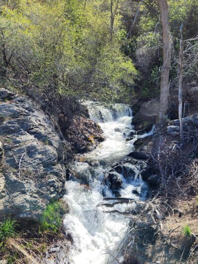 Wilderness Park Trail - Kaysville, UT