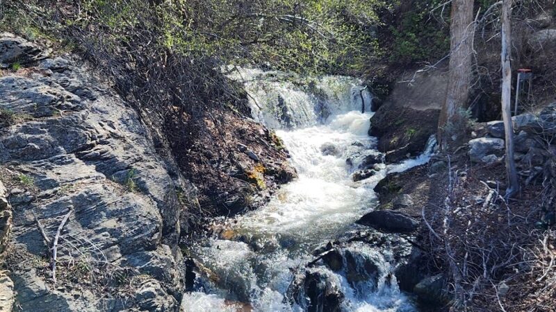 Wilderness Park Trail - Kaysville, UT