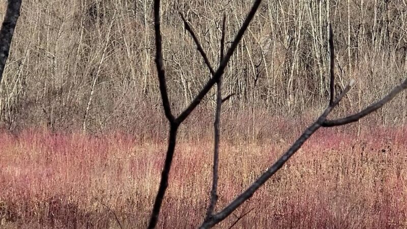Ashuelot Rail Trail Parking KSC Athletic Fields - Keene, NH