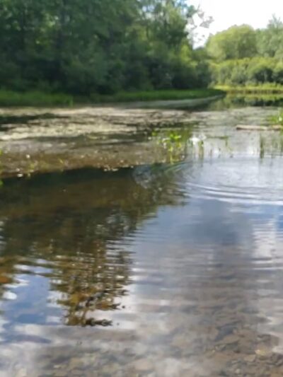 Ashuelot River Park - Keene, NH