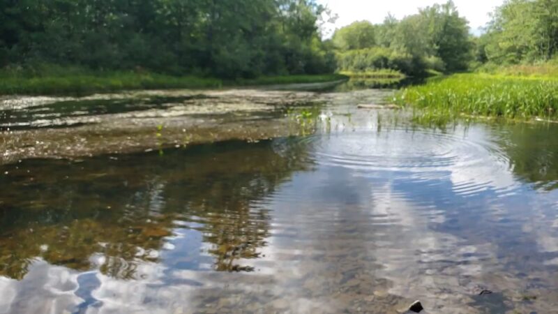 Ashuelot River Park - Keene, NH