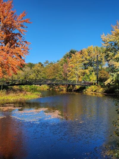 Ashuelot River Park - Keene, NH