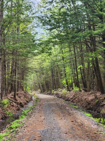 Cheshire Rail Trail - Keene, NH
