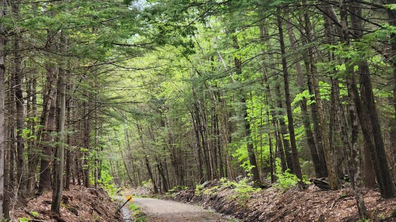 Cheshire Rail Trail - Keene, NH