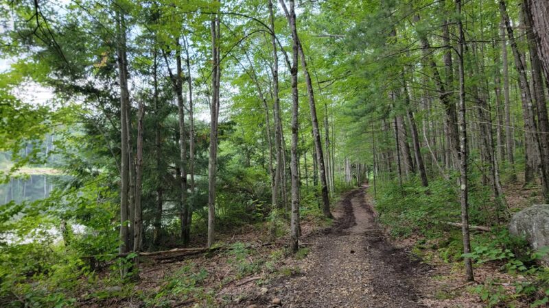Goose Pond Parking Area and Trailhead - Keene, NH