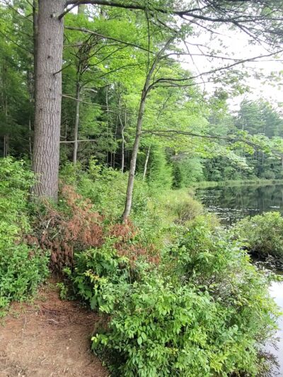 Goose Pond Parking Area and Trailhead - Keene, NH