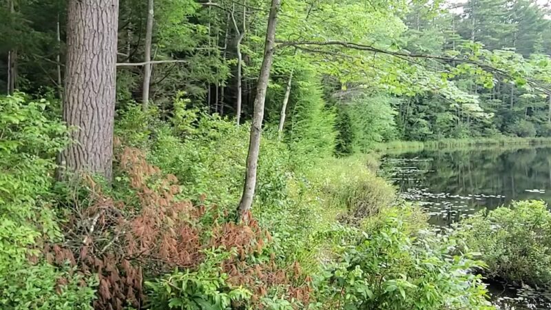 Goose Pond Parking Area and Trailhead - Keene, NH