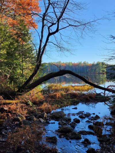 Goose Pond Parking Area and Trailhead - Keene, NH