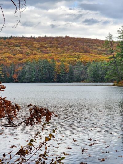Greater Goose Pond Forest - Keene, NH
