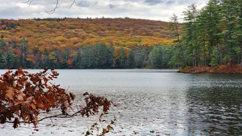 Greater Goose Pond Forest - Keene, NH