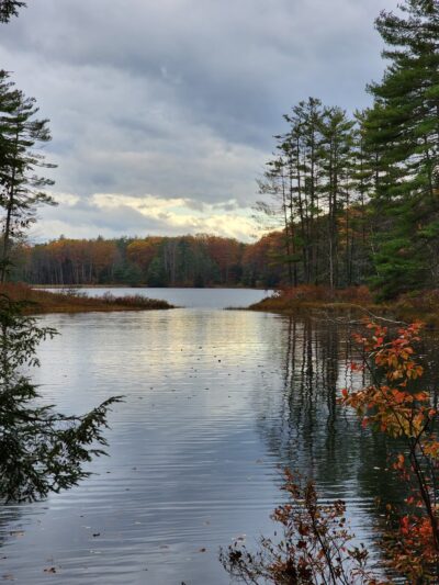 Greater Goose Pond Forest - Keene, NH