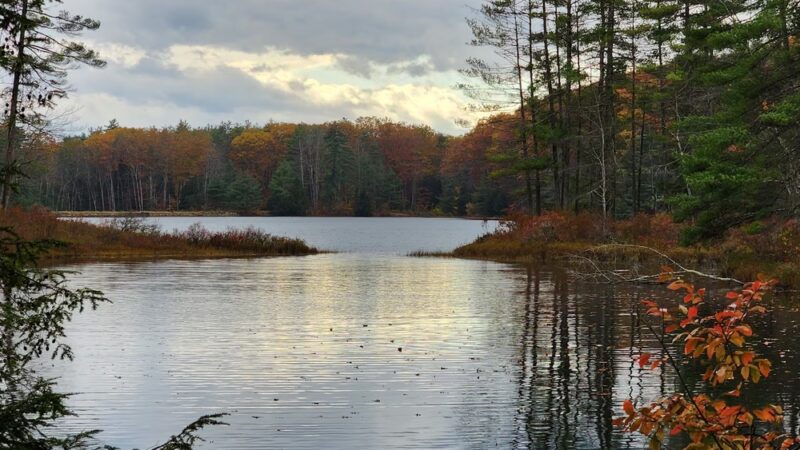Greater Goose Pond Forest - Keene, NH