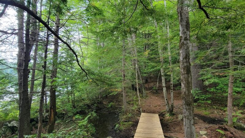 Greater Goose Pond Forest - Keene, NH
