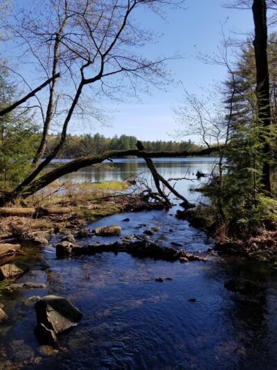Greater Goose Pond Forest - Keene, NH