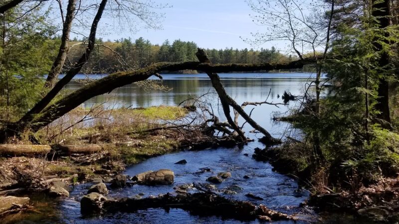 Greater Goose Pond Forest - Keene, NH