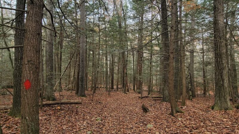 Red Diamond Trailhead @ Horatio Colony Preserve - Keene, NH