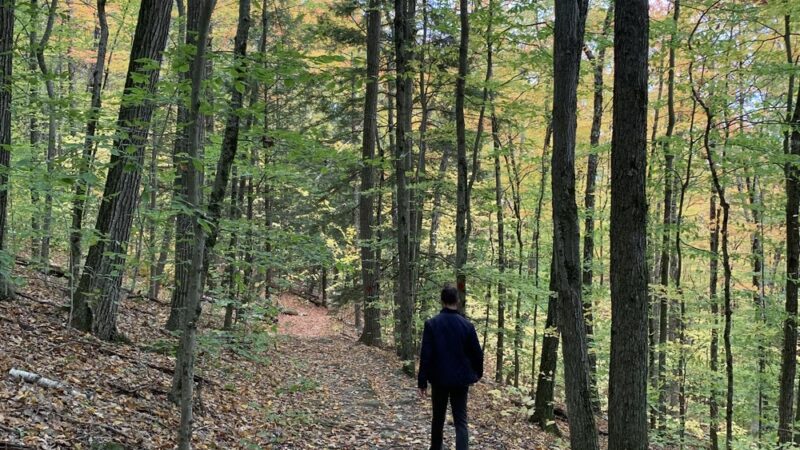 Red Diamond Trailhead @ Horatio Colony Preserve - Keene, NH