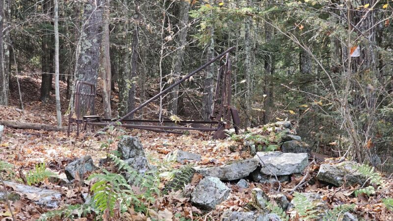 Ridgeline Trail @ Horatio Colony Preserve - Keene, NH