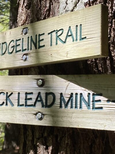 Ridgeline Trail @ Horatio Colony Preserve - Keene, NH