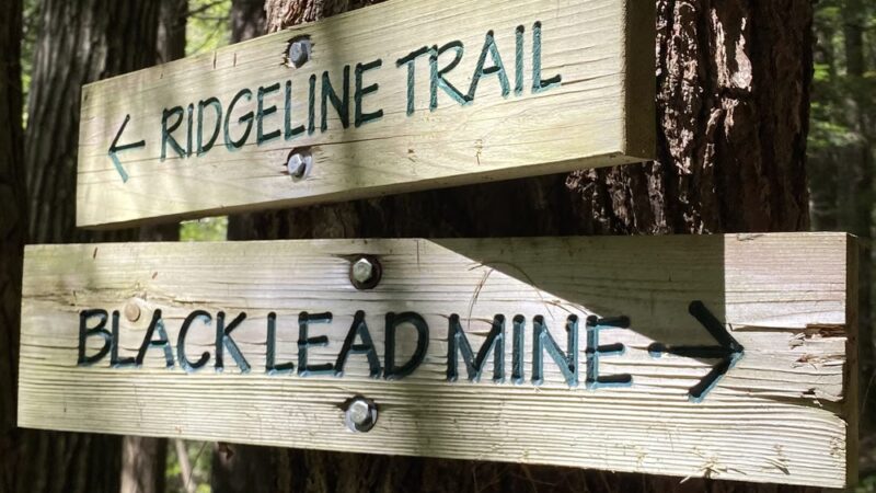 Ridgeline Trail @ Horatio Colony Preserve - Keene, NH