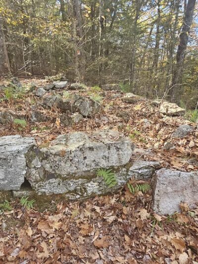 Ridgeline Trail @ Horatio Colony Preserve - Keene, NH