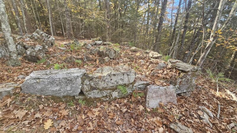 Ridgeline Trail @ Horatio Colony Preserve - Keene, NH