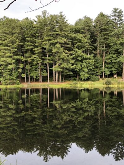 Robin Hood Park - Keene, NH