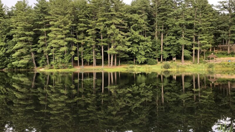 Robin Hood Park - Keene, NH