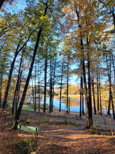 Robin Hood Park - Keene, NH