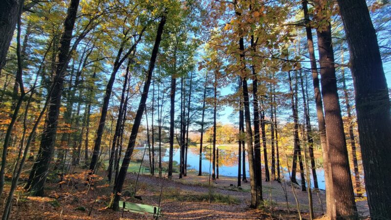 Robin Hood Park - Keene, NH