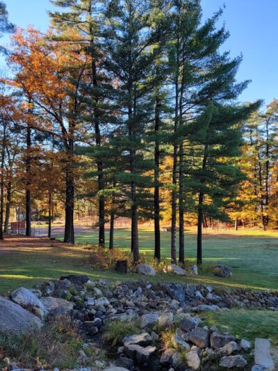 Robin Hood Park - Keene, NH