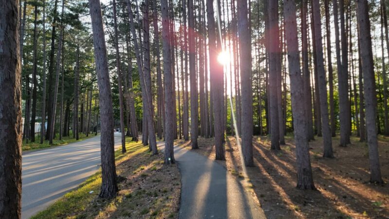 Wheelock Park - Keene, NH