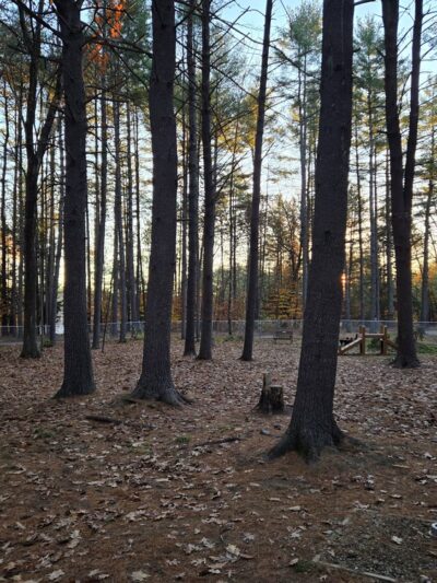 Wheelock Park - Keene, NH