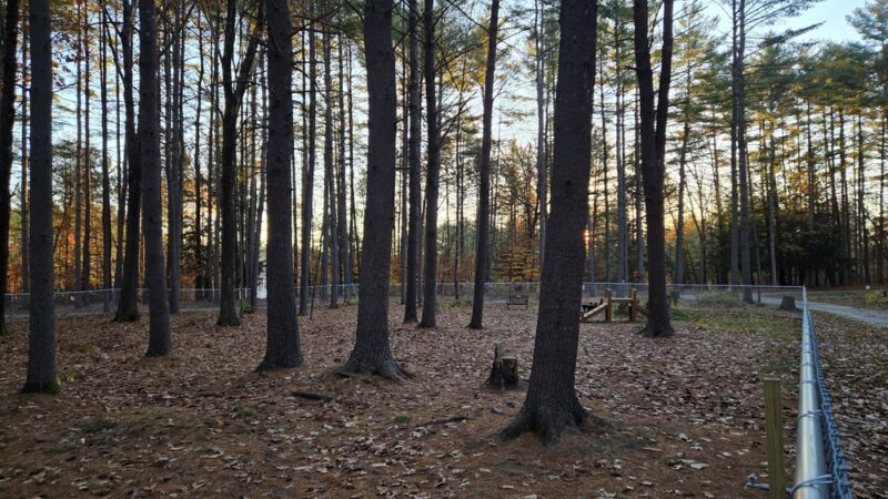 Wheelock Park - Keene, NH