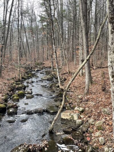 Baxter Mountain Trailhead - Keene, NY