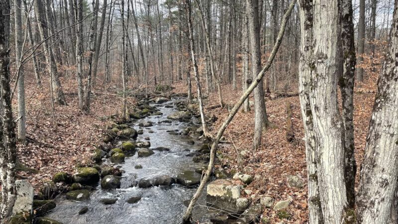 Baxter Mountain Trailhead - Keene, NY