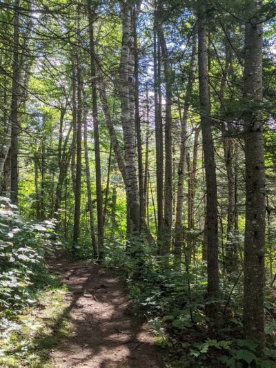 Hurricane Mountain Northern Approach Trailhead - Keene, NY