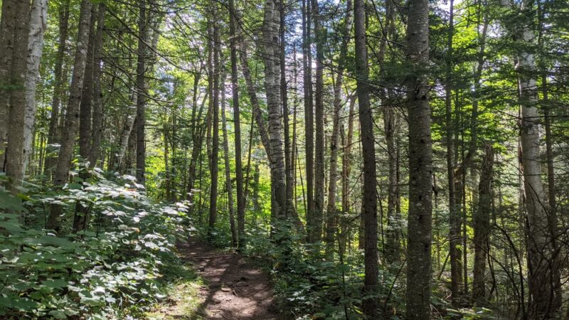 Hurricane Mountain Northern Approach Trailhead - Keene, NY