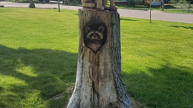 Schey Park - Keenesburg, CO