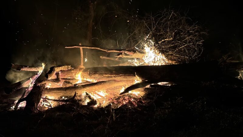 Davy Crockett RV Park - Kennard, TX