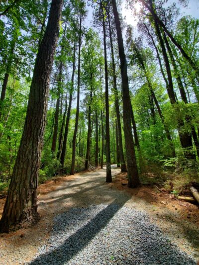 Deerfield Park - Kennesaw, GA
