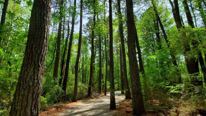 Deerfield Park - Kennesaw, GA