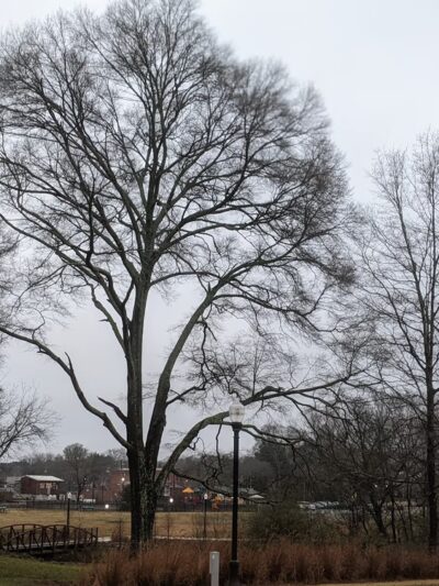 gateway park - Kennesaw, GA