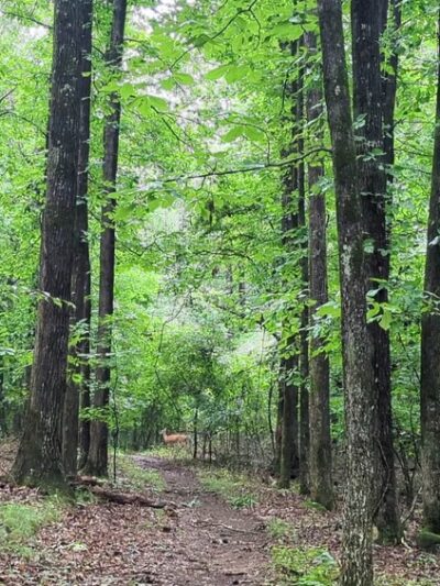 Kennesaw Mountain National Battlefield Park - Kennesaw, GA